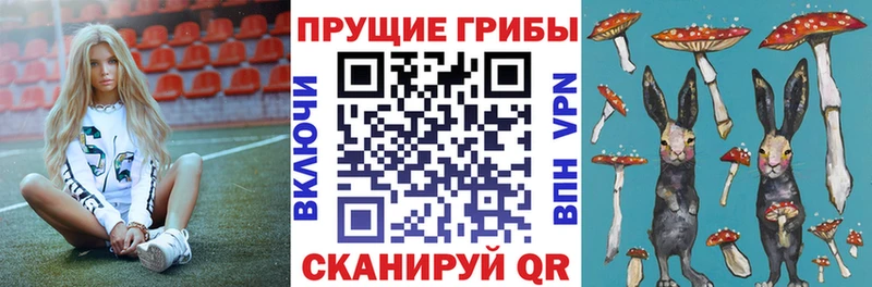 Псилоцибиновые грибы мухоморы где найти наркотики МЕГА ТОР Партизанск