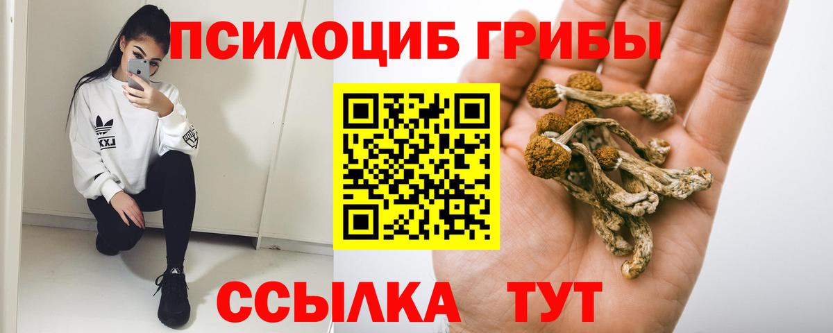 Галлюциногенные грибы мицелий Партизанск